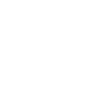 Epic MegaGrants Recipient